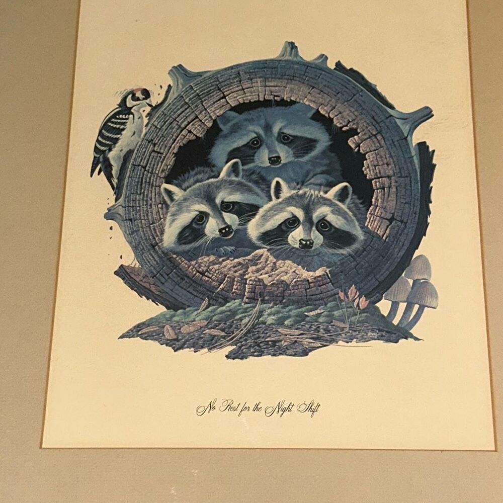 VINTAGE LARRY TOSCHIK RACCOON LITHOGRAPH ... NO REST FOR THE NIGHT SHIFT